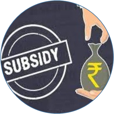 Subsidy